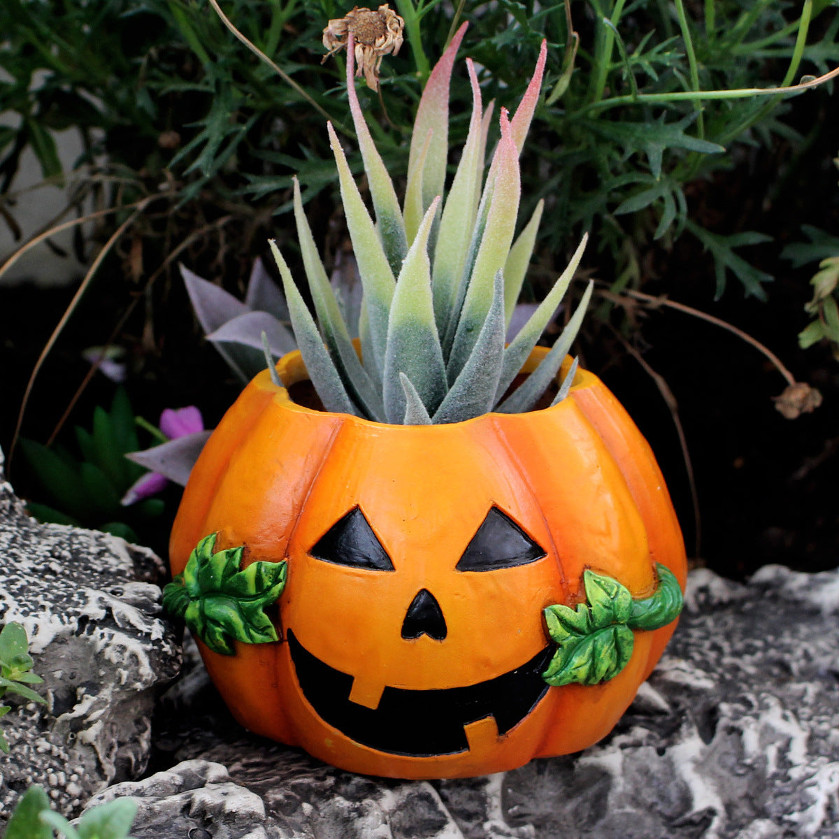Halloween Pumpkin Decoration Flower Pot chicpolly