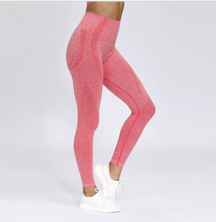 High Waist Sports Tights chicpolly