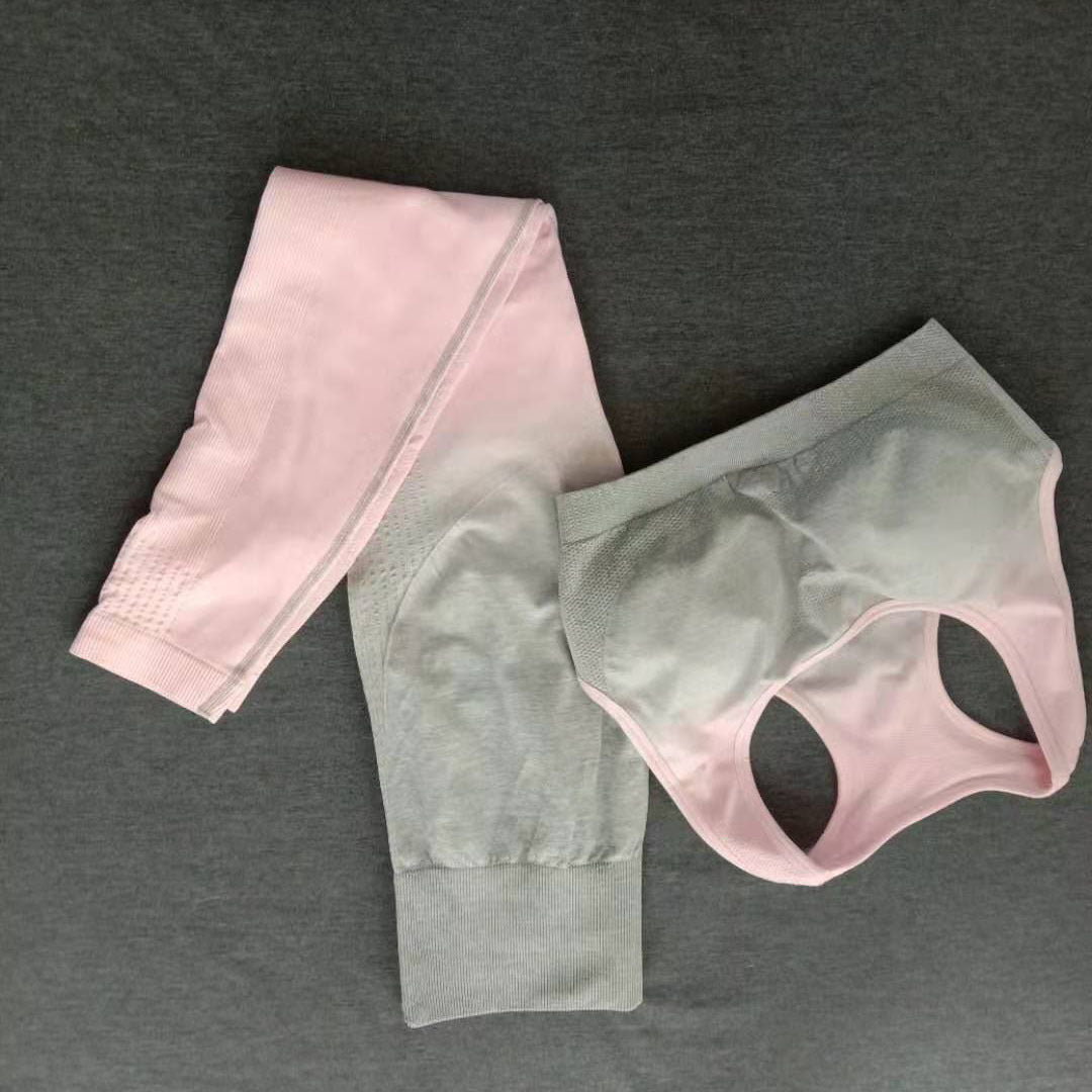 Gradient Color Workout Clothes Gather Seamless Yoga Clothes chicpolly