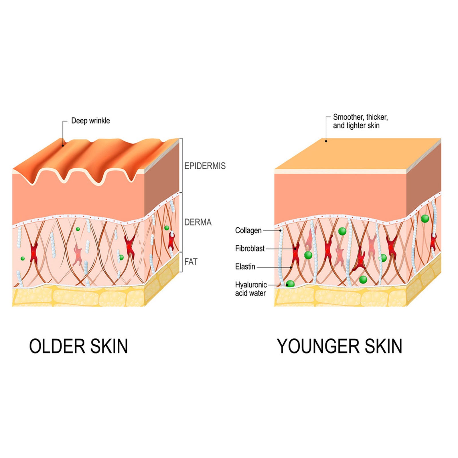 Intensive Anti-wrinkle Fade Fine Lines And Dark Circles Adjust Skin Tone Tighten And Moisturize Skin Care chicpolly