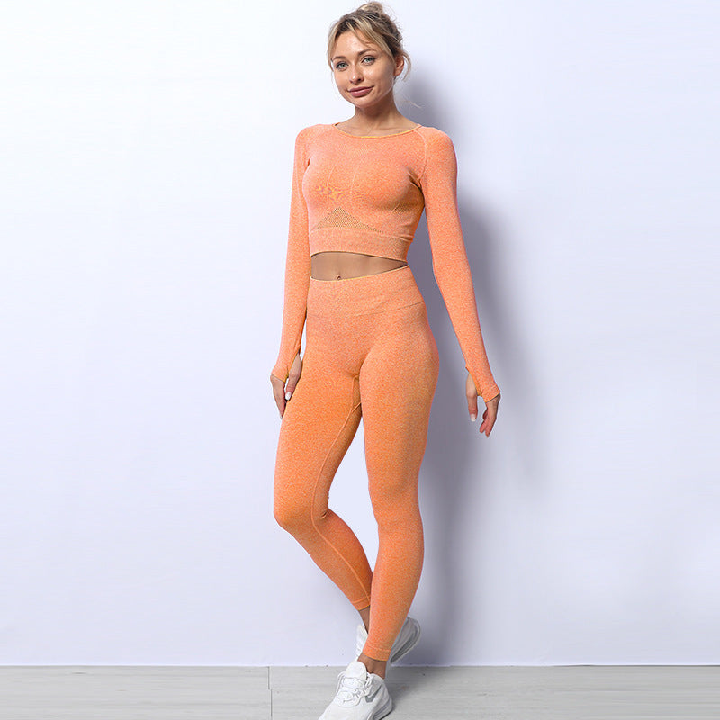Seamless Knit Autumn Winter Fitness Sports Yoga Clothes Women's Suit chicpolly