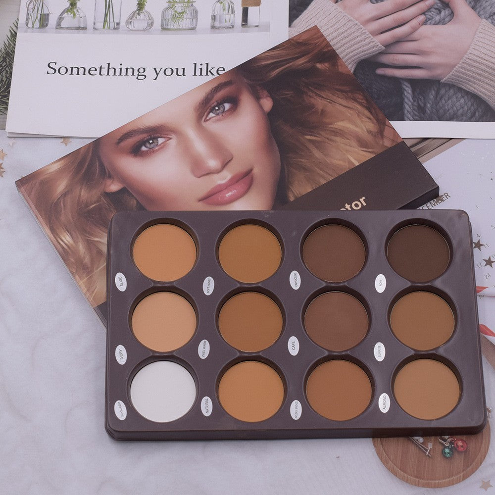 12 Color Makeup Repair Plate chicpolly
