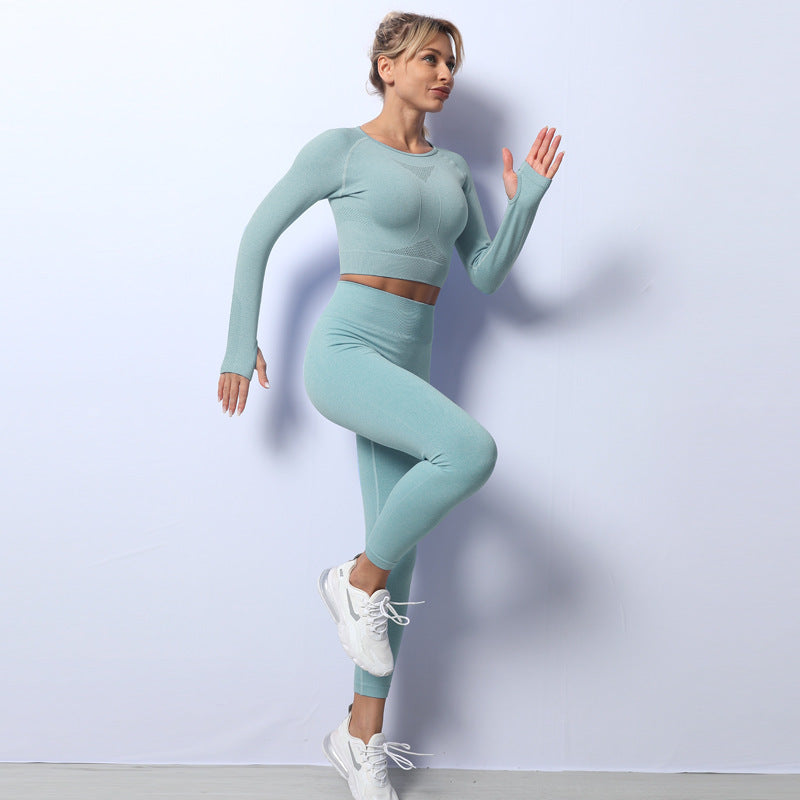 Seamless Knit Autumn Winter Fitness Sports Yoga Clothes Women's Suit chicpolly